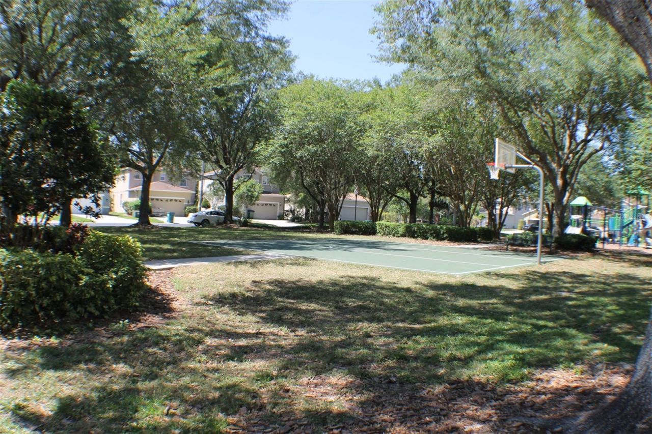 2320 Spring Hollow Loop, Wesley Chapel, FL 33544 Photo