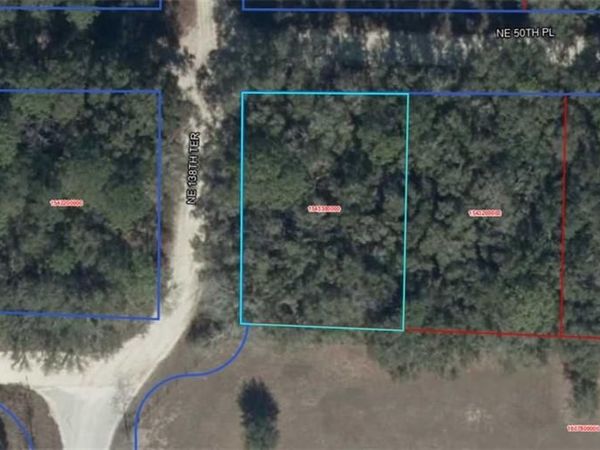NE 50th PL , WILLISTON, FL 32696