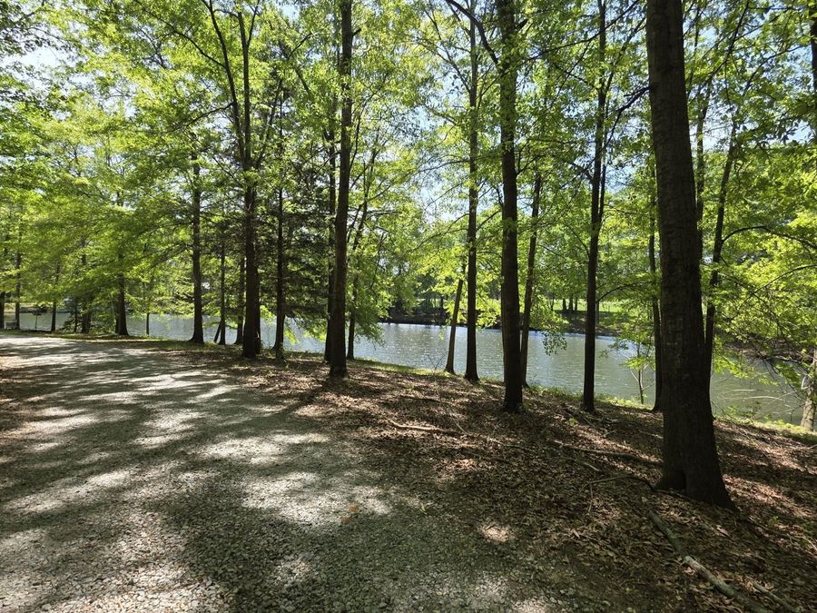 Property Image 95