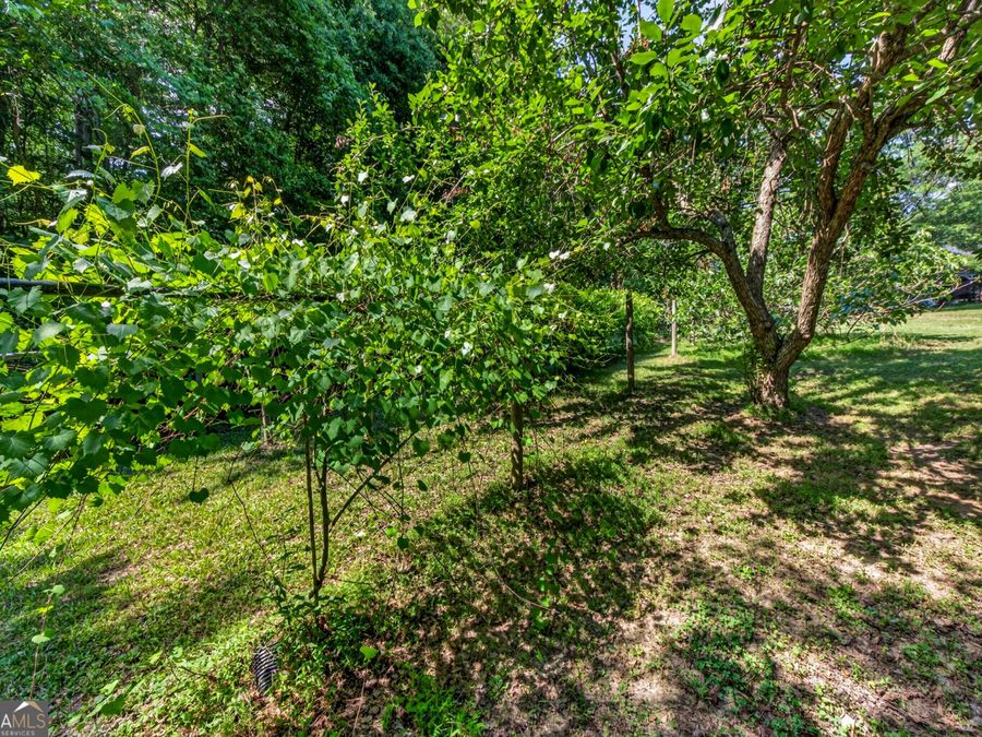 Property Image 98