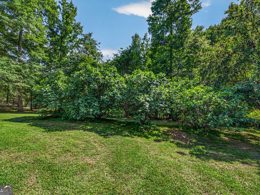 Property Image 99