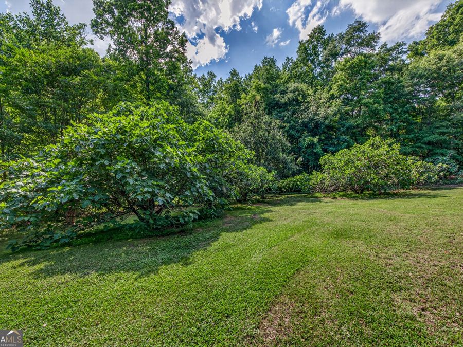Property Image 100