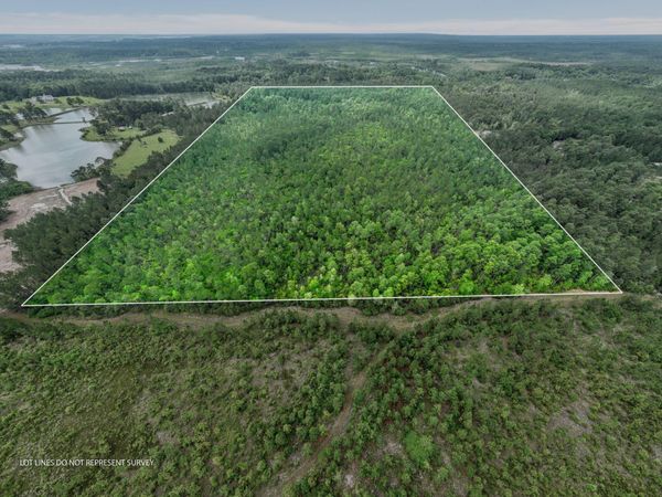 80 +/- Acres Blue Wood Dr., Vancleave, MS 39565