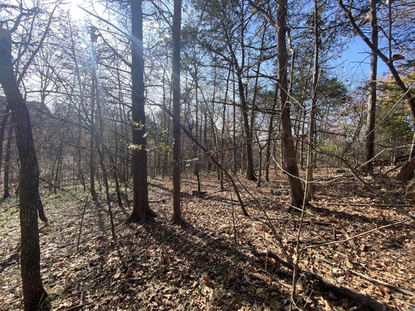 000 Seagull Lane, Cape Fair, MO 65624