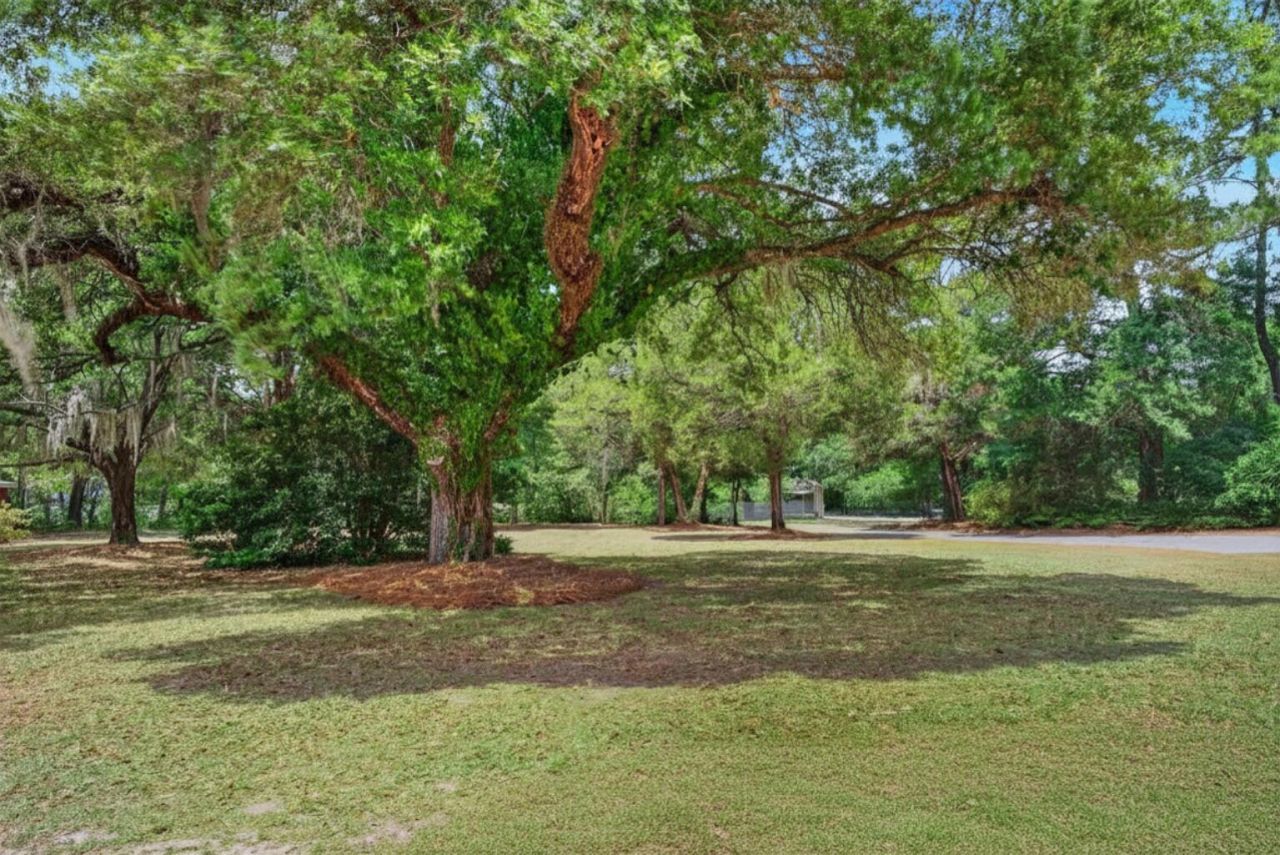 4421 Highway 162 Photo 4