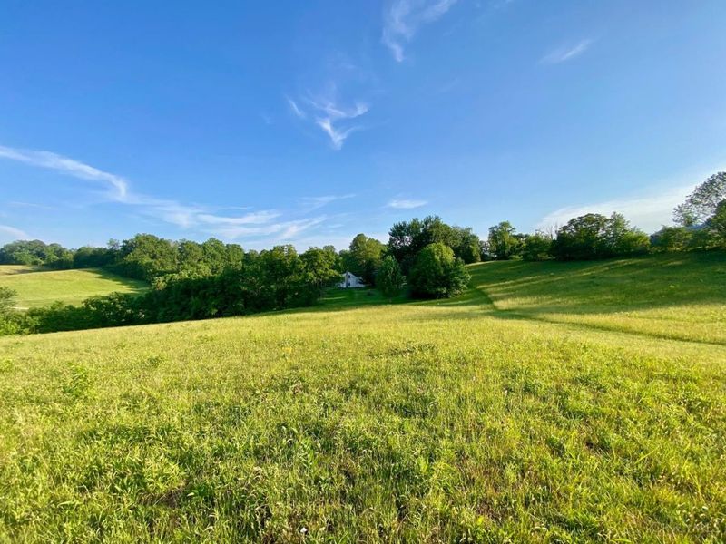 2195 Pumpkin Ridge Road, West Union, OH 45693 Photo 3