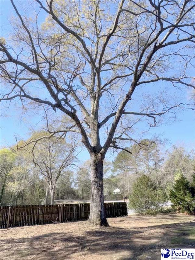 619 Cc Chapman Road Photo 12