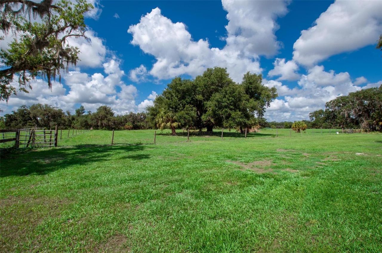 1635 SW Rodgers Avenue, Arcadia, FL 34266 Photo