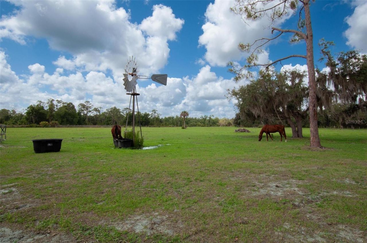 1635 SW Rodgers Avenue, Arcadia, FL 34266 Photo