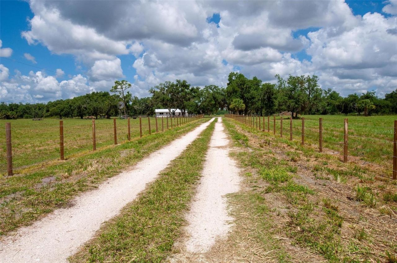 1635 SW Rodgers Avenue, Arcadia, FL 34266 Photo