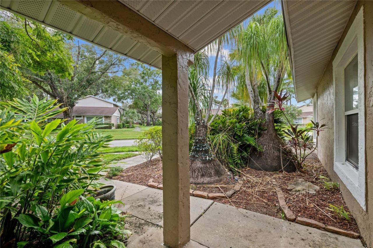 Please Call For Address, Lutz, FL 33559 Photo