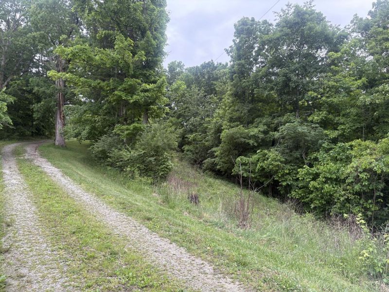 1369 Parker Ridge Road, Bratton Twp, OH 45660 Photo 2