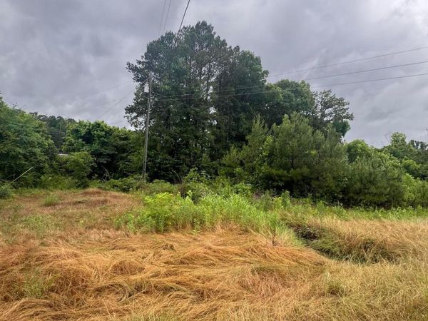 0 STELLA LOCKARD Rd, Cordova, AL 35550