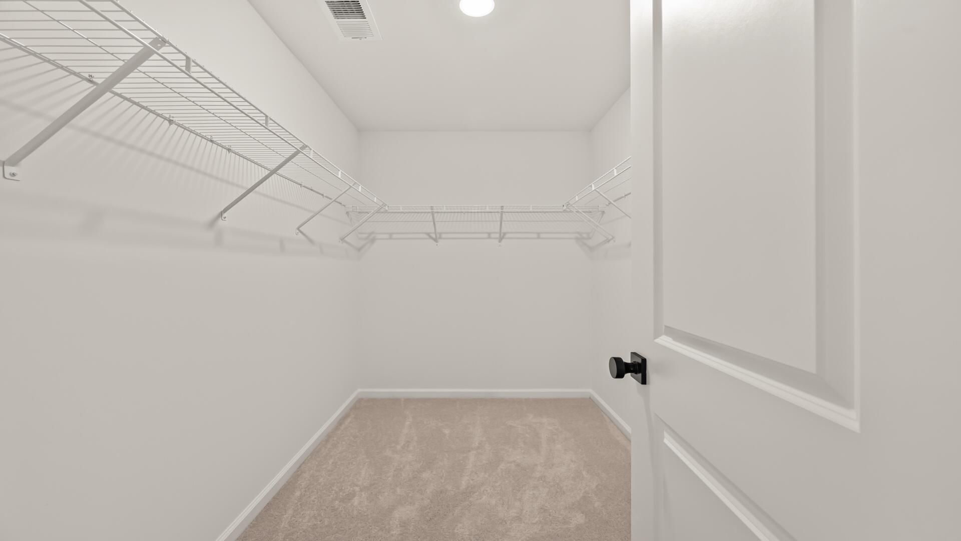 436 Cadbury Loop Photo 18