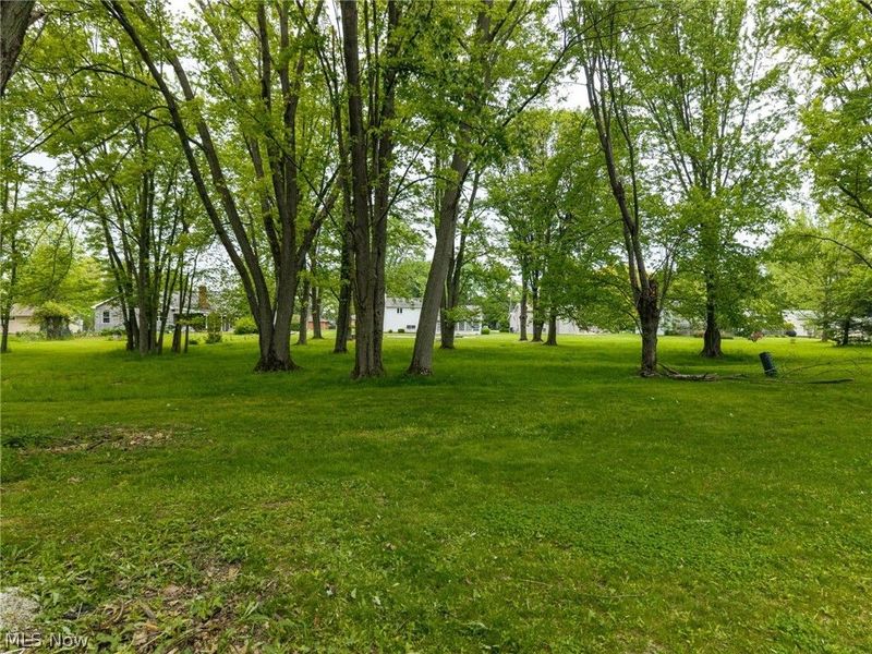 20252 Birchwood Lane, Strongsville, OH 44149 Photo 39