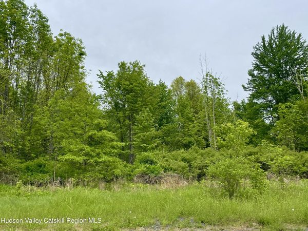Tbd Orchard Drive, Plattekill, NY 12568