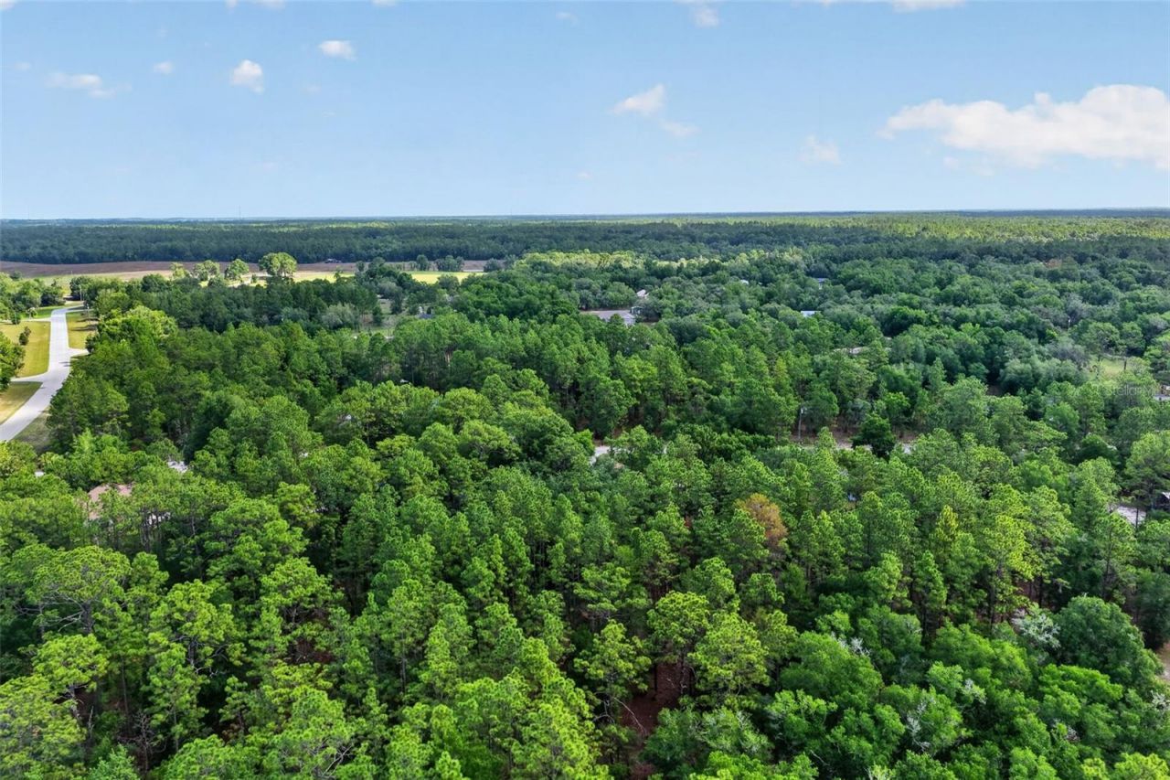 18018 SW 68th Loop, Dunnellon, FL 34432 Photo