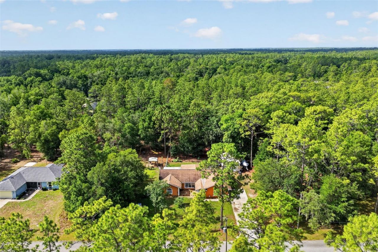 18018 SW 68th Loop, Dunnellon, FL 34432 Photo