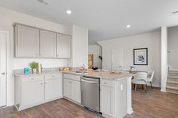 523 Tulip Poplar Drive photo 4