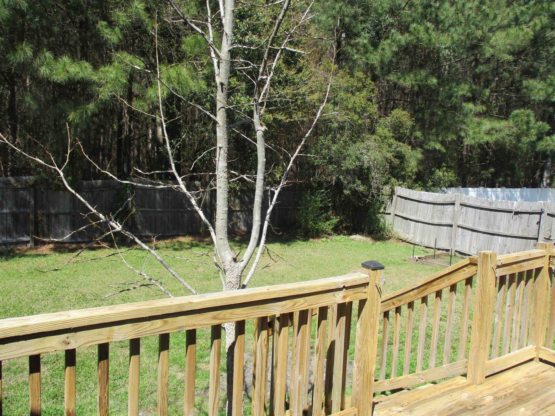 2808 Blue Belle Ln. Photo 22