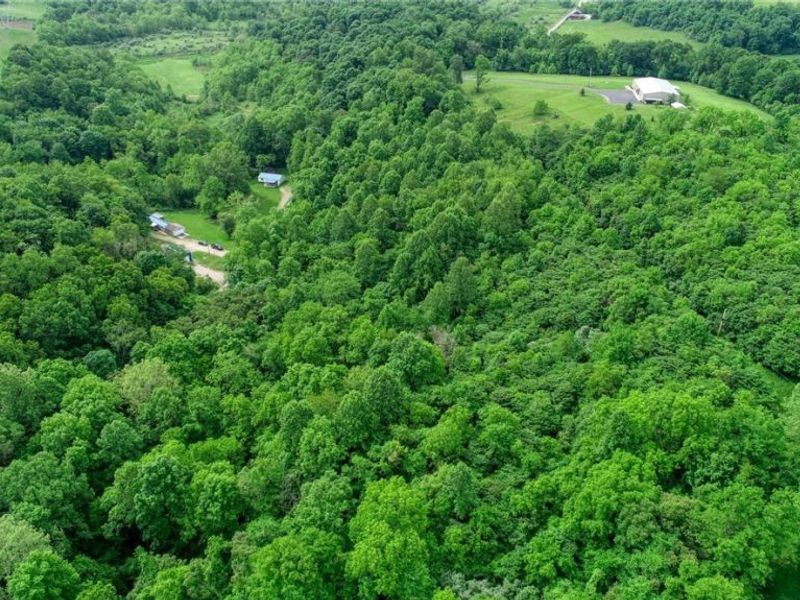 13300 Mount Zion Road, Frazeysburg, OH 43822 Photo 26