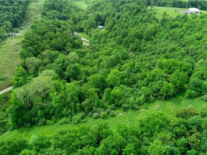 13300 Mount Zion Road, Frazeysburg, OH 43822 Photo 27