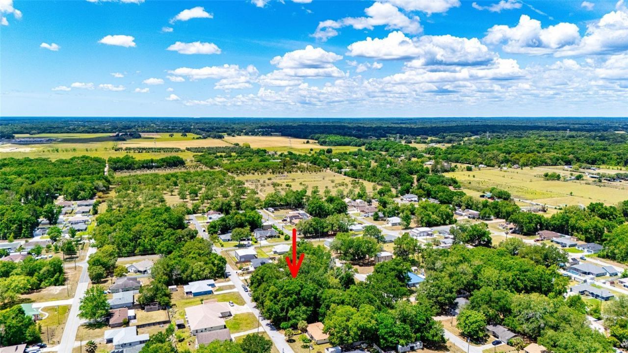 Se 157th St , Summerfield, FL 34491 Photo