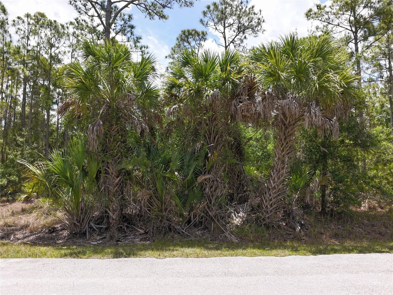 12226 Ripple Drive , Punta Gorda, FL 33955 Photo