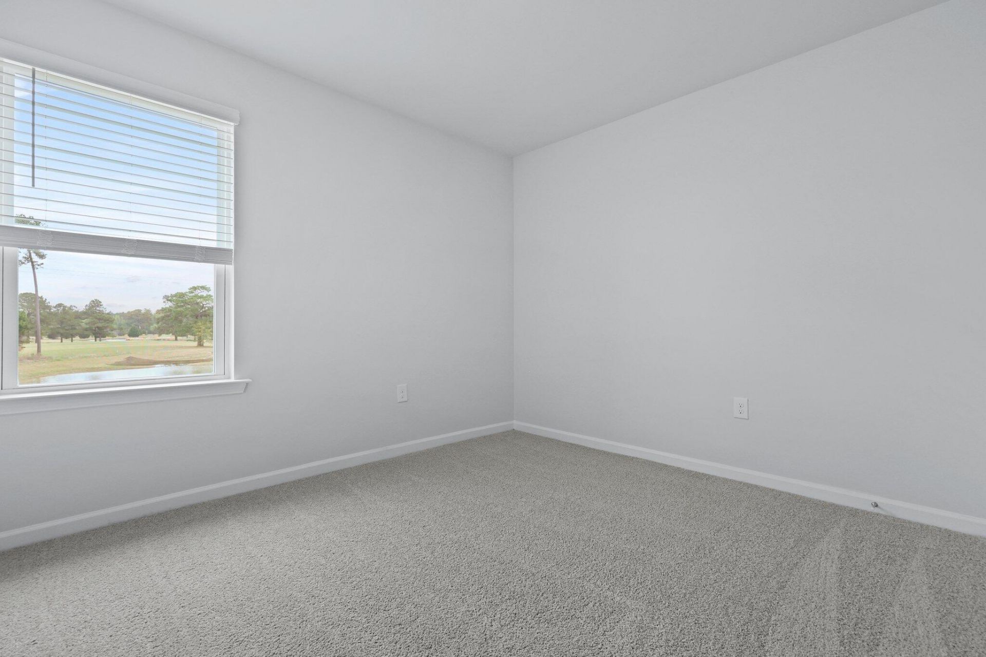 507 Tulip Poplar Drive Photo 23
