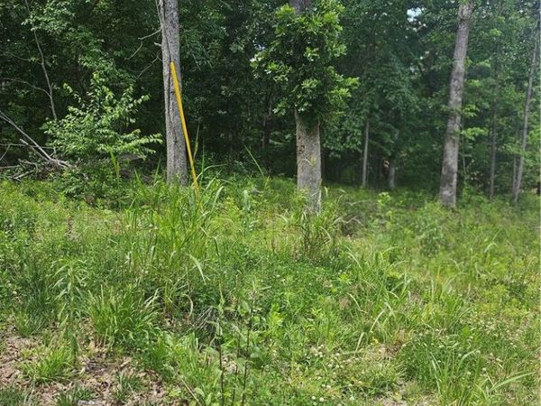 Lot 13 Moniave Lane , Bella Vista, AR 72715