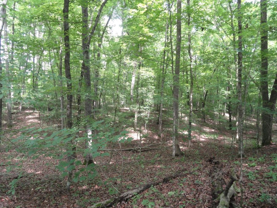 Property Image 17