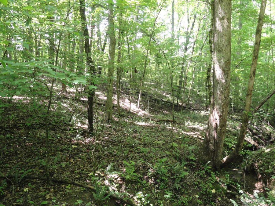 Property Image 18
