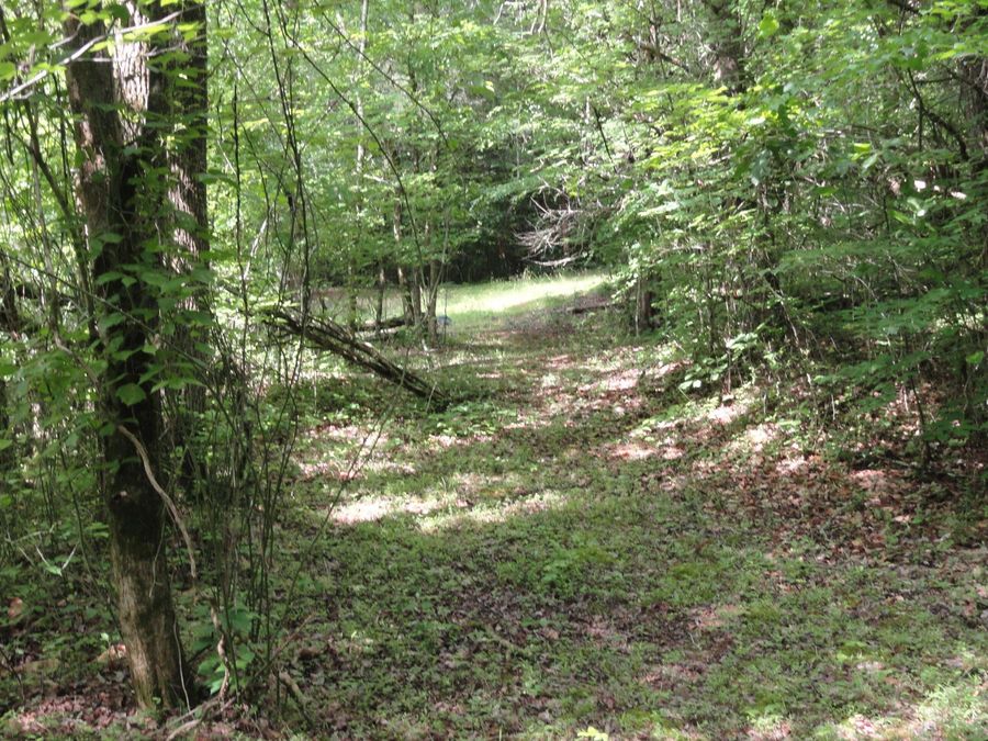 Property Image 22