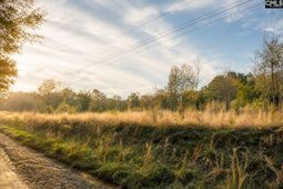 1621 Ethan Cook Road  photo 4