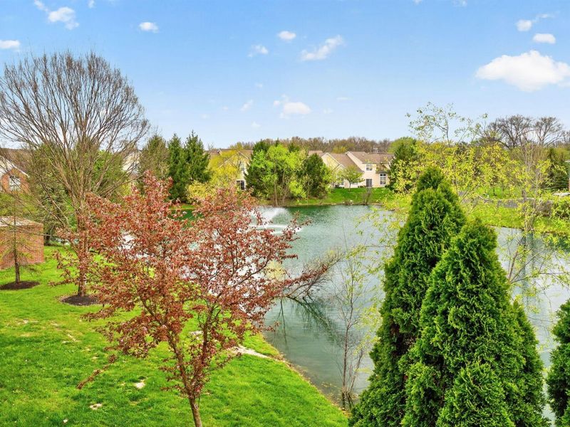 3834 Carberry Drive, Dublin, OH 43016 Photo 31