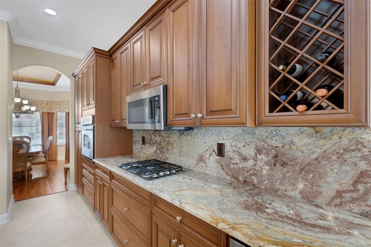 194 Medici Terrace, North Venice, FL 34275 Photo