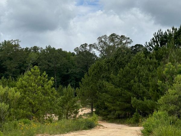 916 White Road, Florence, MS 39073