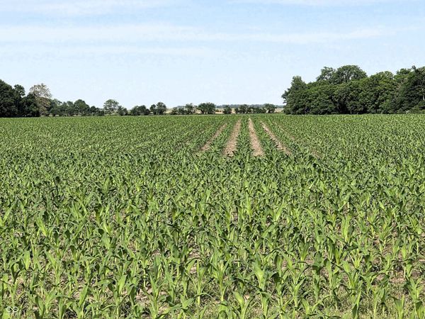 0 N State Road 75, North Salem, IN 46165