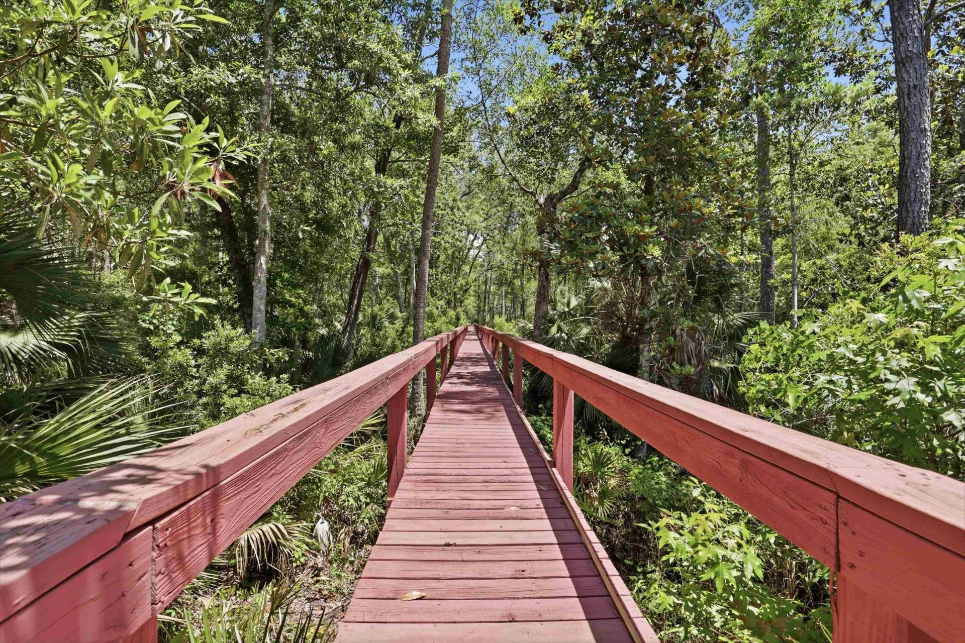 45 Saint Marks Rivers Edge Drive, Crawfordville, FL 32327 Photo