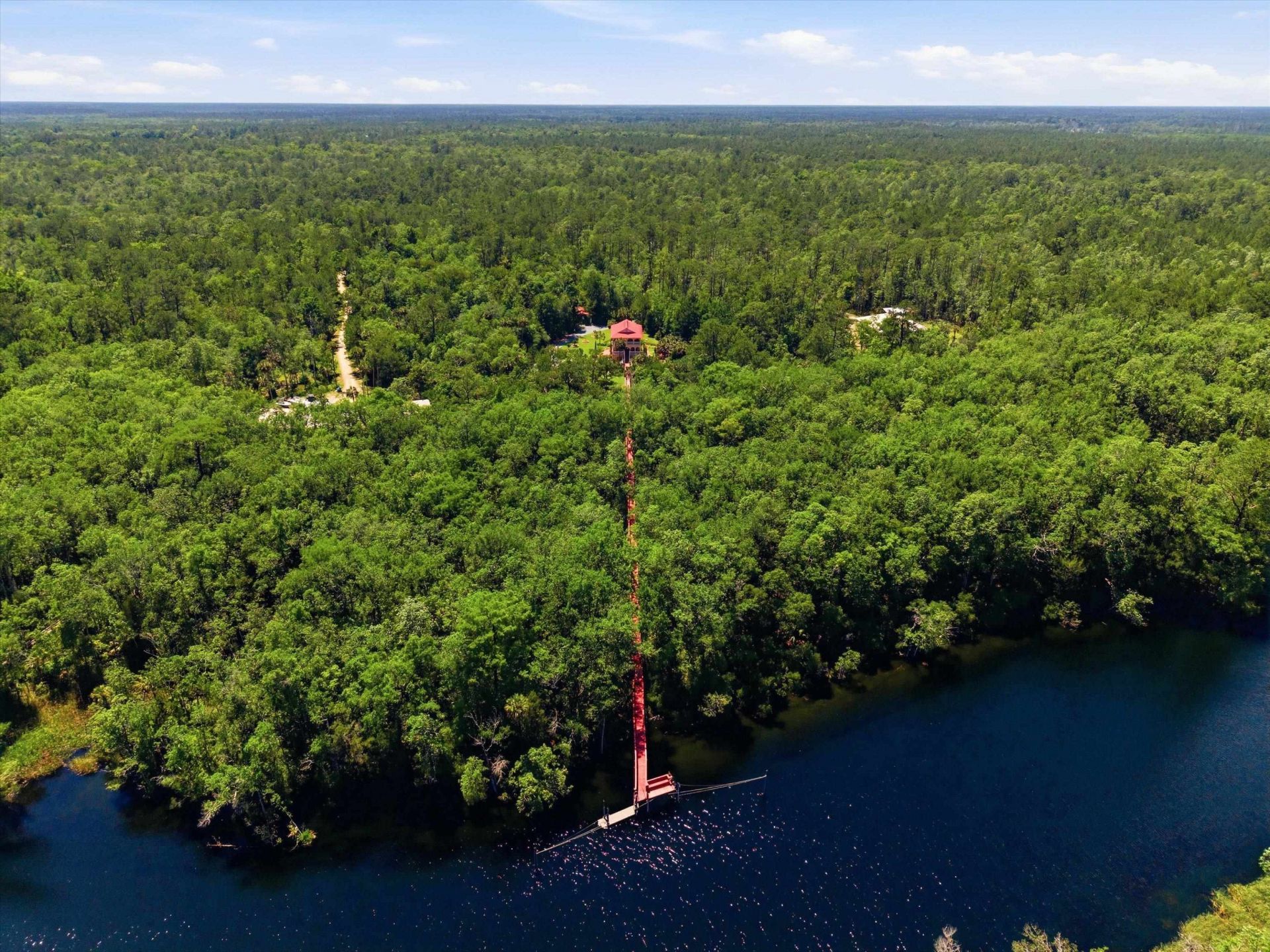 45 Saint Marks Rivers Edge Drive, Crawfordville, FL 32327 Photo