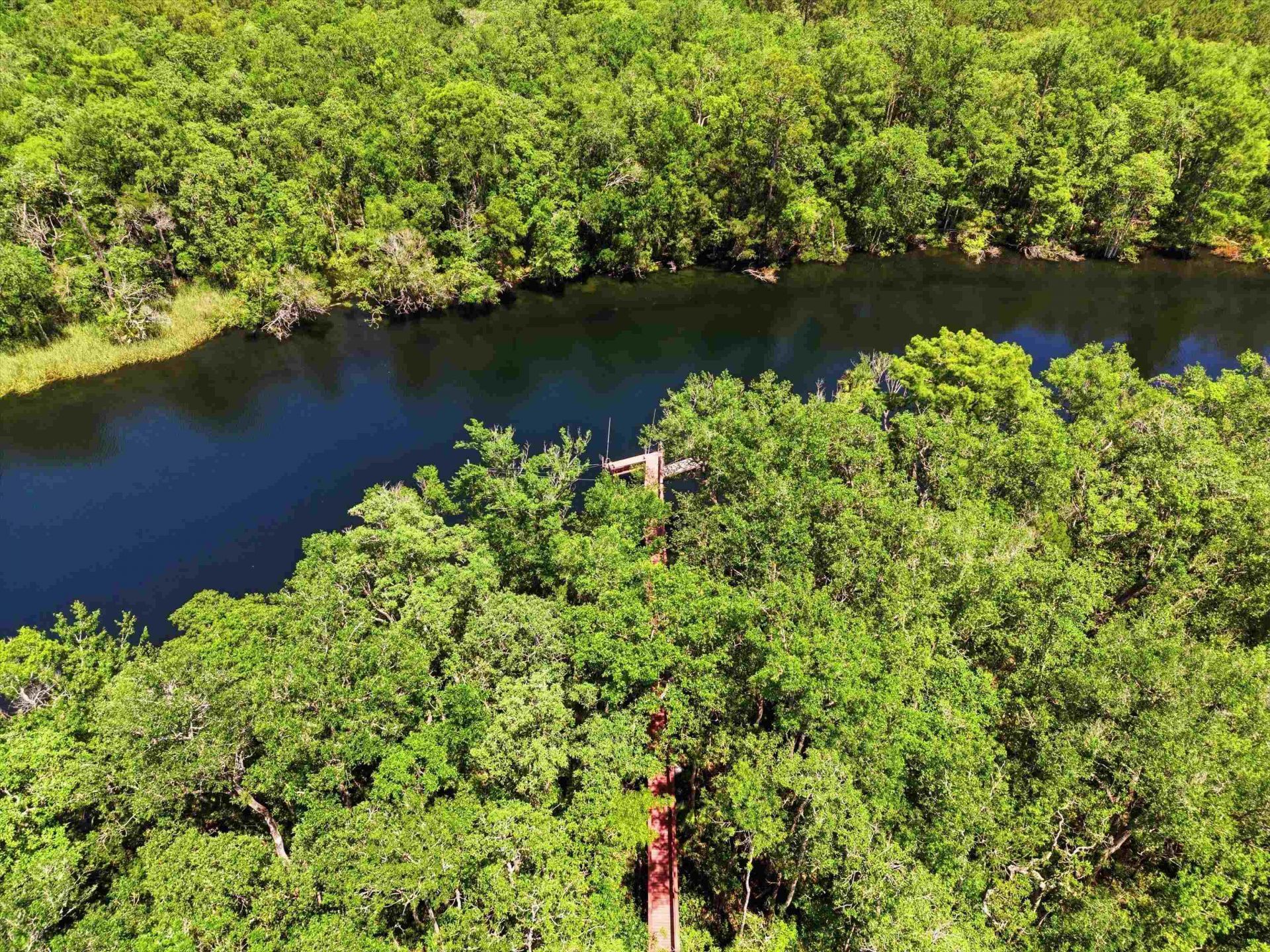 45 Saint Marks Rivers Edge Drive, Crawfordville, FL 32327 Photo