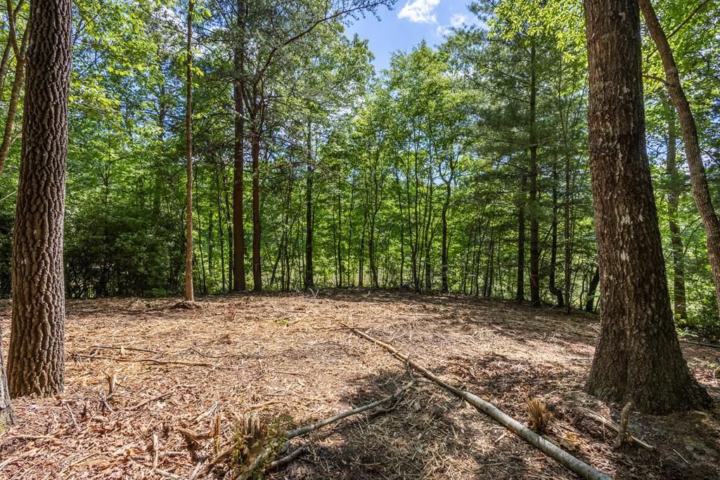 4.2 Acre Donley Road, Murphy, NC 28906 Main Photo