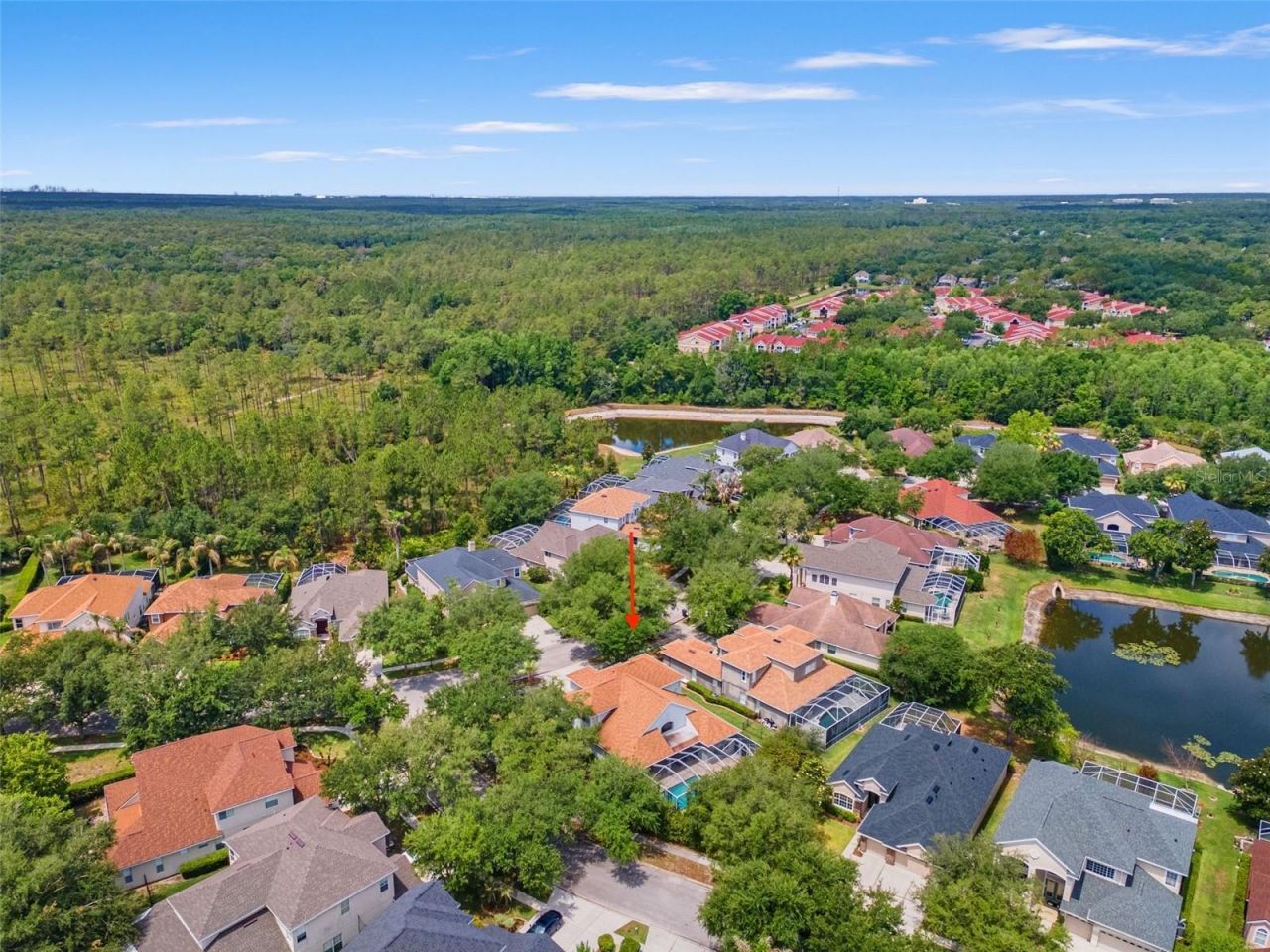 10117 Deercliff Drive , Tampa, FL 33647 Photo