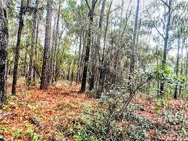 2871 W SUNKIST LANE , DUNNELLON, FL 34433