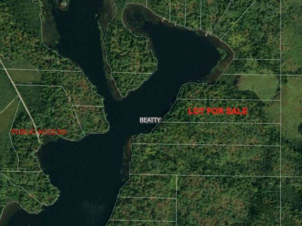 4251 North Arm E, Cook, MN 55723