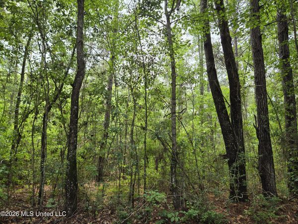 Harry Sones Road, Carriere, MS 39426