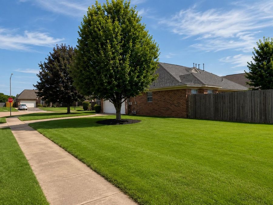 Property Image 33