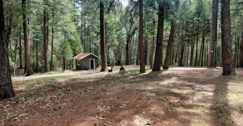 332 Coyote Ct, Georgetown, CA 95634 Photo