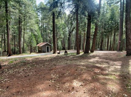 332 Coyote Ct, Georgetown, CA 95634 Photo
