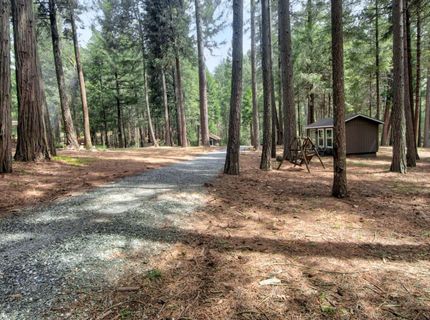 332 Coyote Ct, Georgetown, CA 95634 Photo